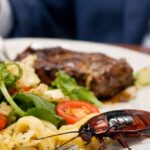 Cockroach Incident at Parliament House Sparks Food Concerns
