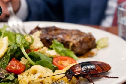 Cockroach Incident at Parliament House Sparks Food Concerns