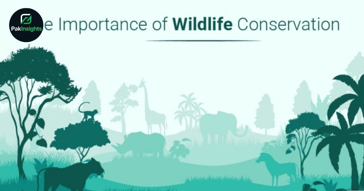 Importance of Wildlife Conservation for Ecosystems and Humans