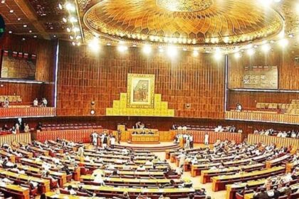 National Assembly Passes Anti-Domestic Violence Bill: Key Features and Implications