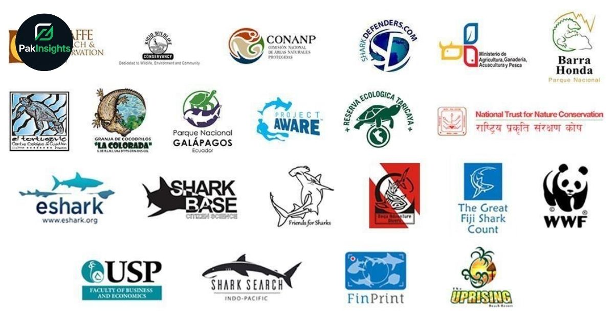 Successful Wildlife Conservation Programs Worldwide