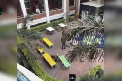 UOL Student Death Reported After Fall From Campus Building