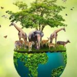 Wildlife Conservation: Protecting Nature for a Sustainable Future