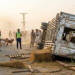 300 Goats Killed as Livestock Trailer Overturns in Nawabshah