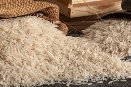 Basmati and Other Rice Exports See Sharp Decline in Pakistan