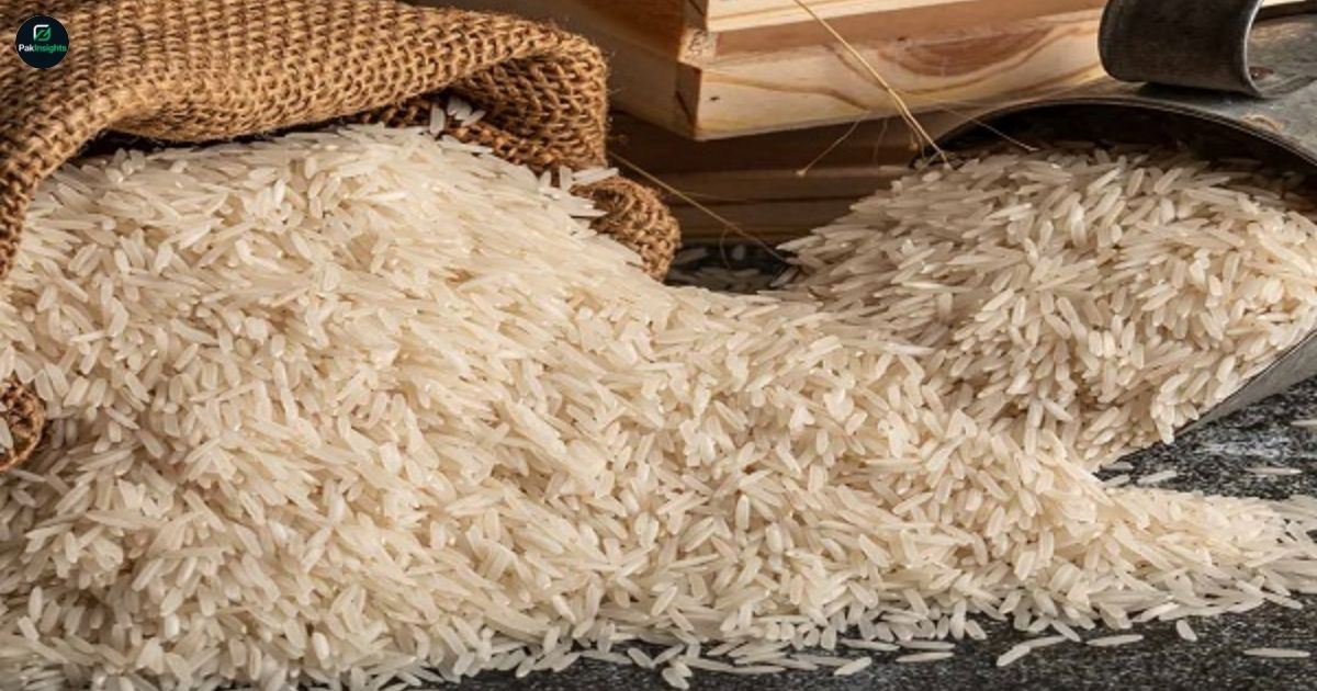 Basmati and Other Rice Exports See Sharp Decline in Pakistan