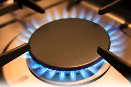 Govt Launches Immediate Gas Relief for Domestic Consumers