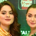 Gul Plaza Fire: Hania Aamir and Minal Khan Criticize Negligence