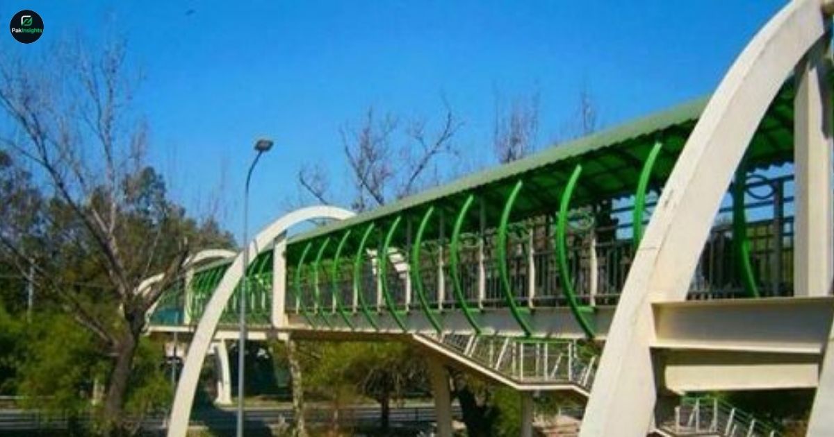 Lahore Hospitals Demand Bridge for Faster Emergency Access