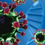 Pakistan on High Alert as the Deadly Nipah Virus Risks Spread