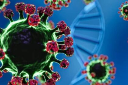 Pakistan on High Alert as the Deadly Nipah Virus Risks Spread