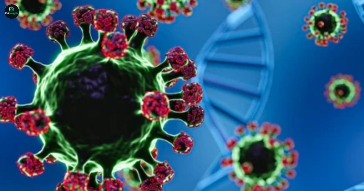 Pakistan on High Alert as the Deadly Nipah Virus Risks Spread