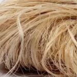 Pakistani Student Turns Banana Waste into Eco-Friendly Fiber