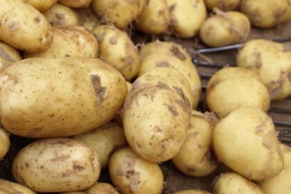 Pakistan’s NA Committee Urges PM to Tackle Potato Price Crisis