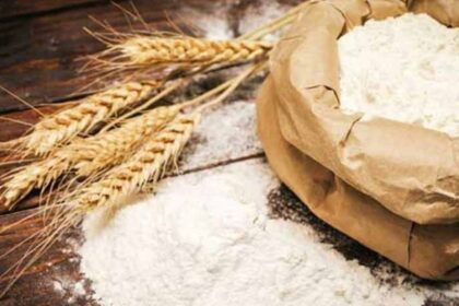 Sindh Fixes Flour Rates as Wheat Prices Surge Across Pakistan