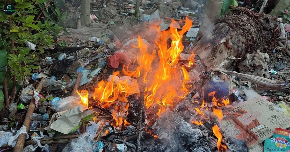 Sindh Government to File FIRs Against Citizens Burning Garbage