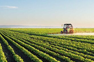 Agricultural Loans in Pakistan Reach Rs. 1.41 Trillion in H1 FY26