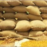 Corruption and Theft: 64,000 Wheat Bags Vanish in Jamshoro