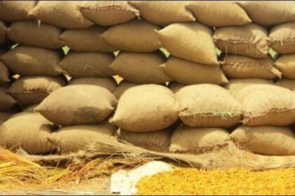 Corruption and Theft: 64,000 Wheat Bags Vanish in Jamshoro