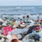 How Plastic Pollution is Accelerating Toxic Algae Blooms Worldwide