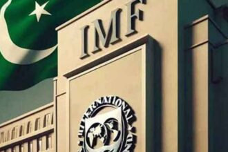 IMF Talks: Pakistan’s FBR Requests Rs100 Billion Tax Target Cut