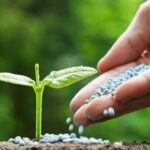 Pakistan Plans Windfall Tax on Fertilizer to Support Farmers