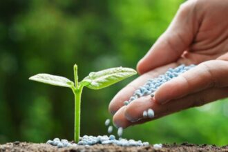 Pakistan Plans Windfall Tax on Fertilizer to Support Farmers