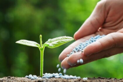 Pakistan Plans Windfall Tax on Fertilizer to Support Farmers