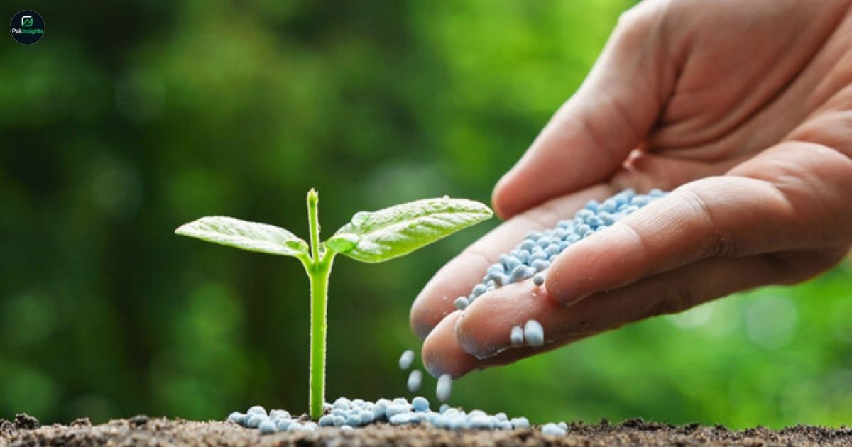 Pakistan Plans Windfall Tax on Fertilizer to Support Farmers