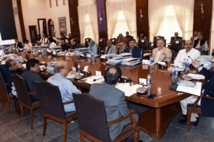 Sindh Approves Major Education, Ecotourism & Industrial Projects