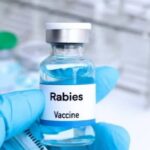 Sindh Upgrades Rabies Treatment Centres to Boost Public Health