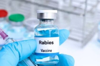 Sindh Upgrades Rabies Treatment Centres to Boost Public Health