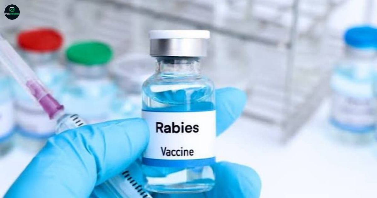 Sindh Upgrades Rabies Treatment Centres to Boost Public Health