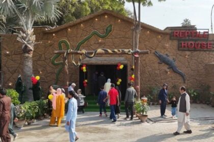 Special Children in Karachi to Enjoy Free Entry at City Zoo