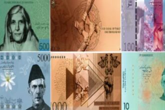 State Bank of Pakistan Unveils Designs for New Currency Notes