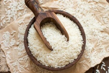Pakistan Losing Competitive Edge in the Global Rice Export Market