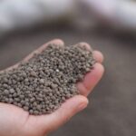 Diesel Hike Pushes Fertilizer Prices in Pakistan Beyond Rs. 15,000