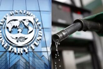 Govt Requests IMF Support to Ease Petrol and Diesel Price Surge