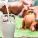New Fresh Milk Prices Announced Across Karachi Division