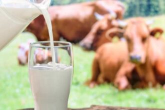 New Fresh Milk Prices Announced Across Karachi Division