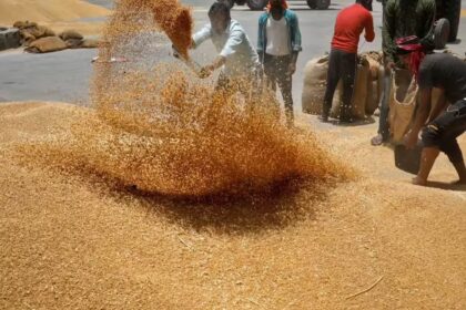 Punjab boosts private wheat buying as procurement falls short
