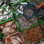 Russia Approves Pakistani Fish Exports in Major Trade Boost