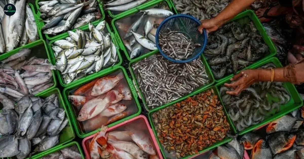 Russia Approves Pakistani Fish Exports in Major Trade Boost