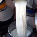 Dairy Farmers Demand Major Milk Price Increase in Karachi