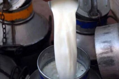 Dairy Farmers Demand Major Milk Price Increase in Karachi