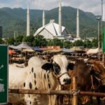 DC Islamabad Sets Up Six Official Cattle Markets for Eid