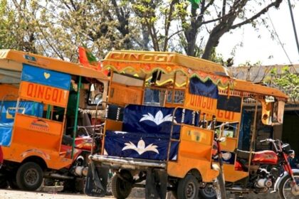 Strict ban imposed on Qingqi, loader rickshaws in Lahore