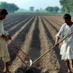 Who Can Apply for Punjab Apna Khet Rozgar Scheme 2026 Rules