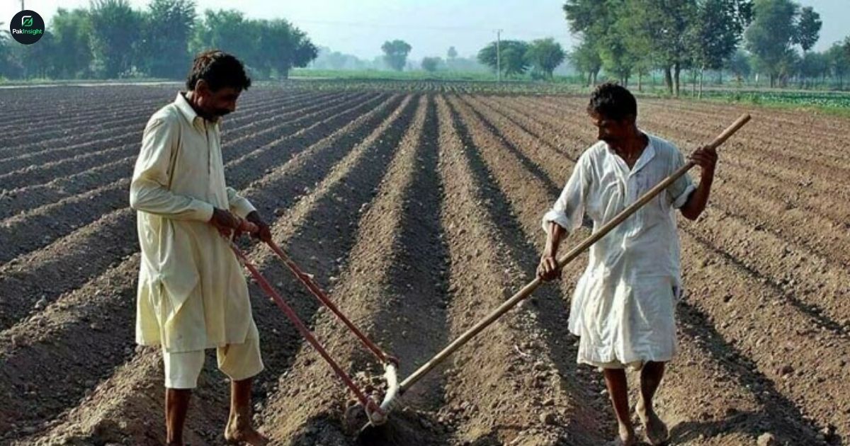 Who Can Apply for Punjab Apna Khet Rozgar Scheme 2026 Rules