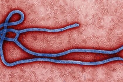WHO Declares Global Health Emergency Over Congo Ebola